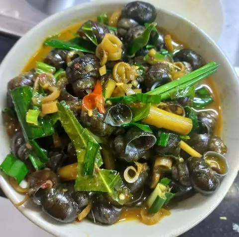 Hình ảnh Ốc Hút