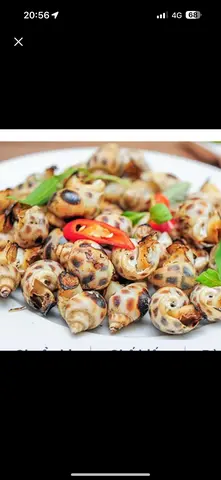 Hình ảnh Ốc Hương nướng mọi