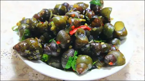 Hình ảnh Ốc đắng xào xả ớt