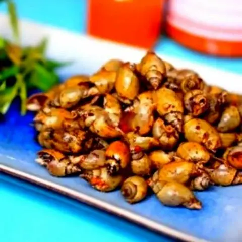 Hình ảnh Ốc Cà Na Xào Sa Tế