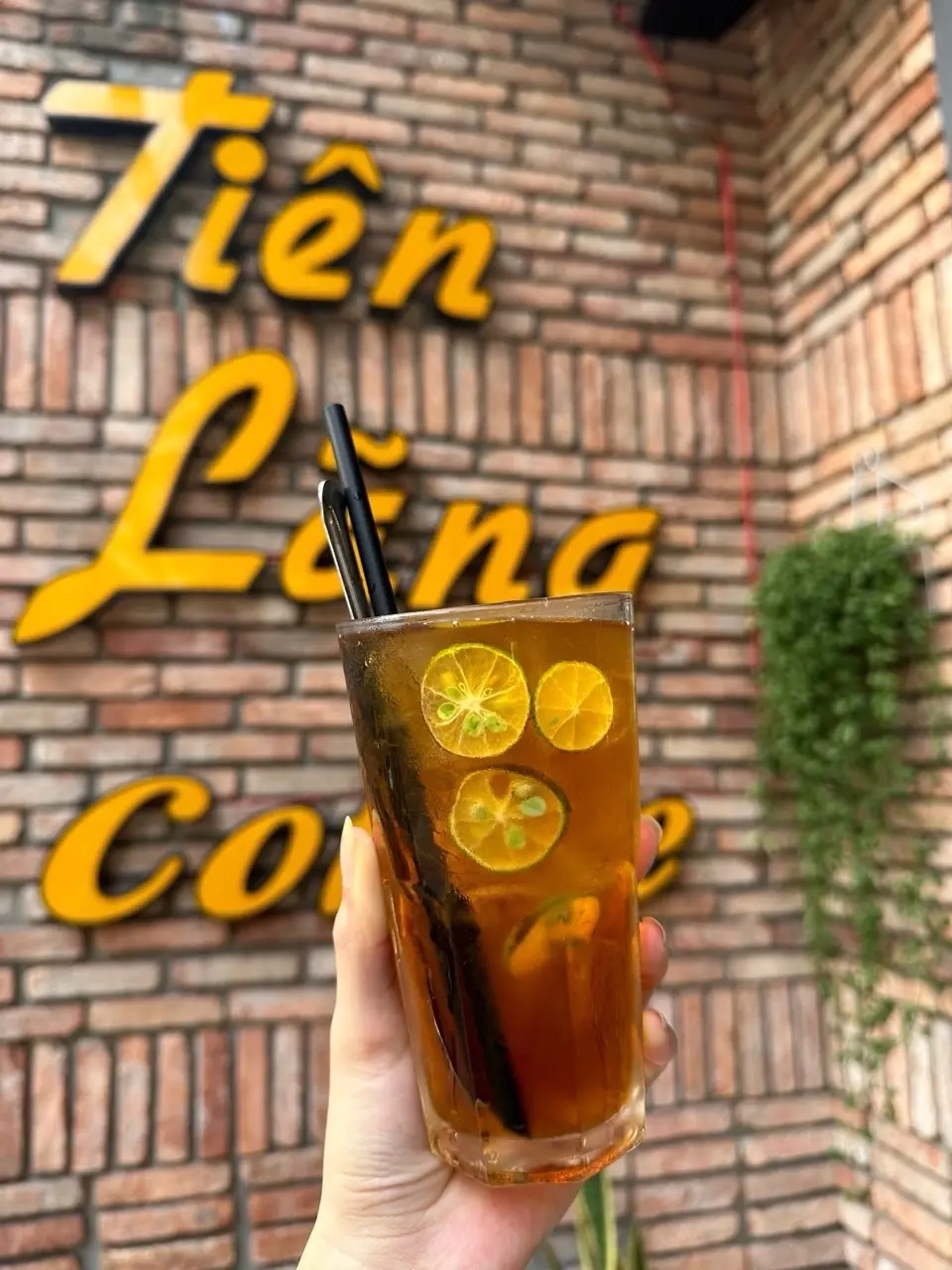 Hình ảnh Trà tắc