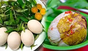 Hình ảnh hột vịt lộn 2 trứng 