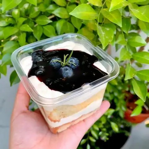 Hình ảnh Bánh việt quất tươi size nhỏ