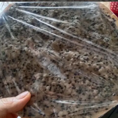 Hình ảnh BÁNH TRÁNG DỪA MÈ ( BỊCH 4 CÁI)