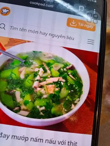 Hình ảnh rau đây thịt bằm chay lớn 