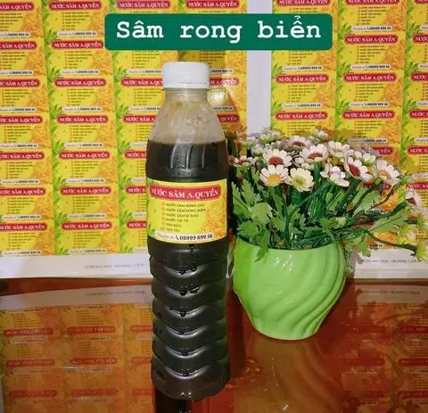 Hình ảnh Sâm rong biển