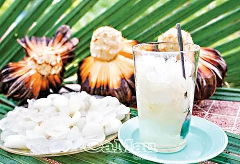 Hình ảnh Dừa nước