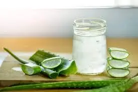 Hình ảnh Nha đam mủ trôm