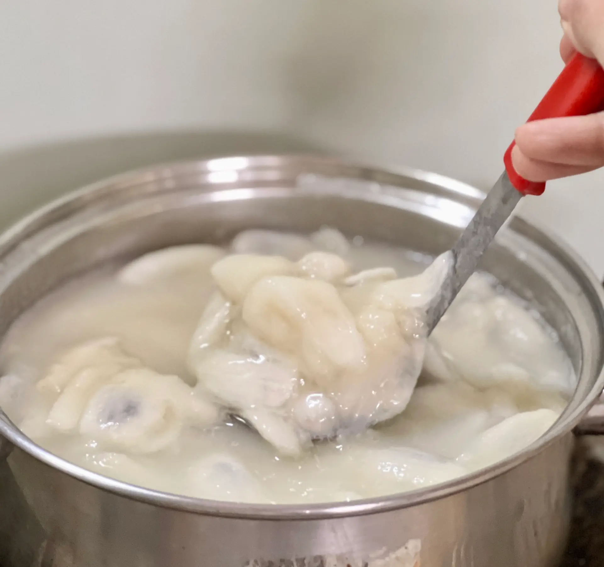 Hình ảnh Mãng Cầu dằm Đác tươi
