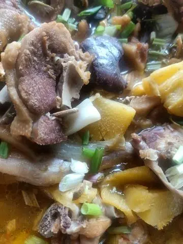 Hình ảnh cợm vit ôm thợm