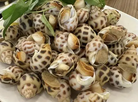 Hình ảnh Ốc hương nướng mọi