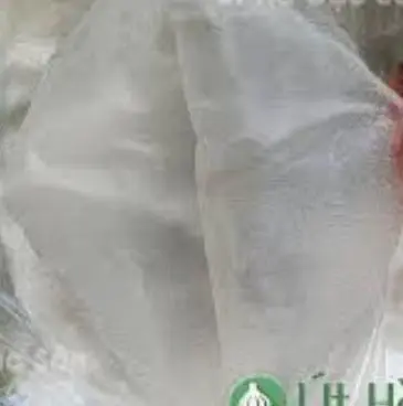 Hình ảnh Bánh Tráng Mỏng