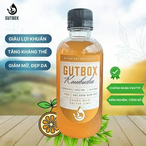 Hình ảnh Kombucha Chanh muối 