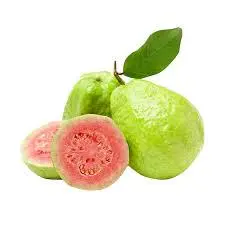Hình ảnh Ổi đỏ 