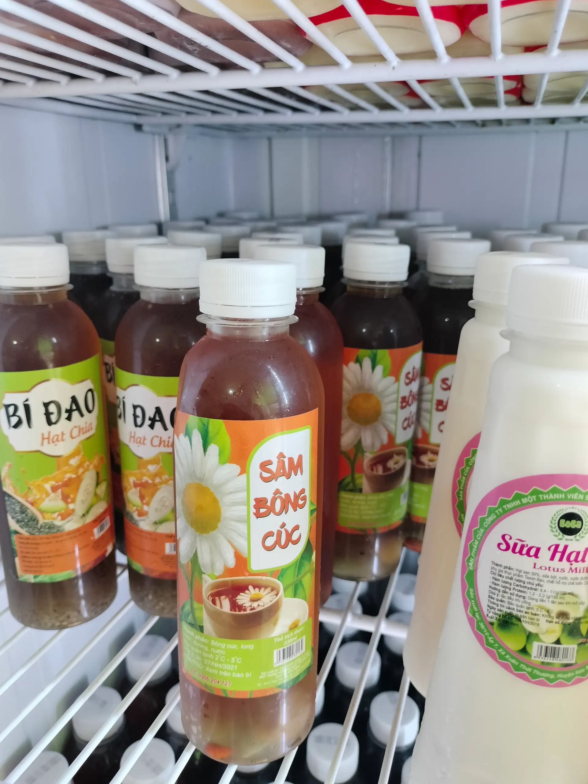 Hình ảnh sâm bông cúc 