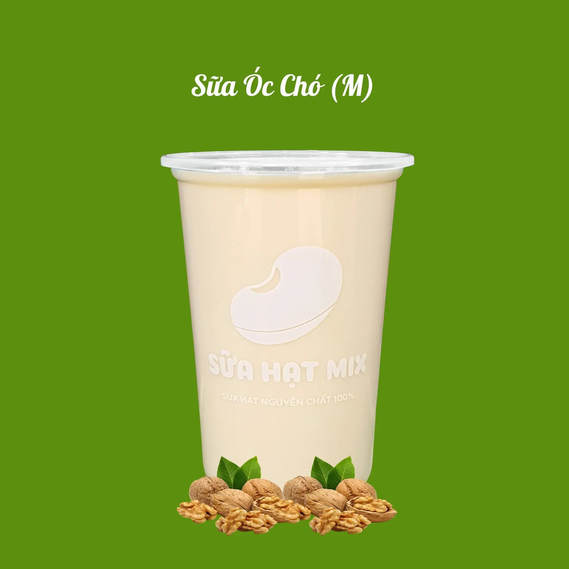 Hình ảnh Óc Chó - Size M