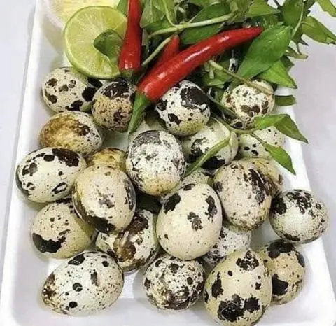 Hình ảnh 10 Cút lộn LUỘC muối tiêu chanh