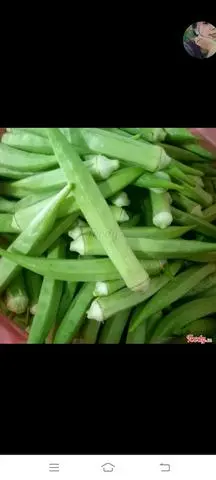 Hình ảnh đậu bắp