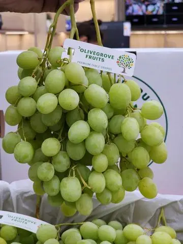 Hình ảnh Nho xanh Úc - Hộp 500gr