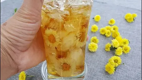 Hình ảnh SÂM BÔNG CÚC