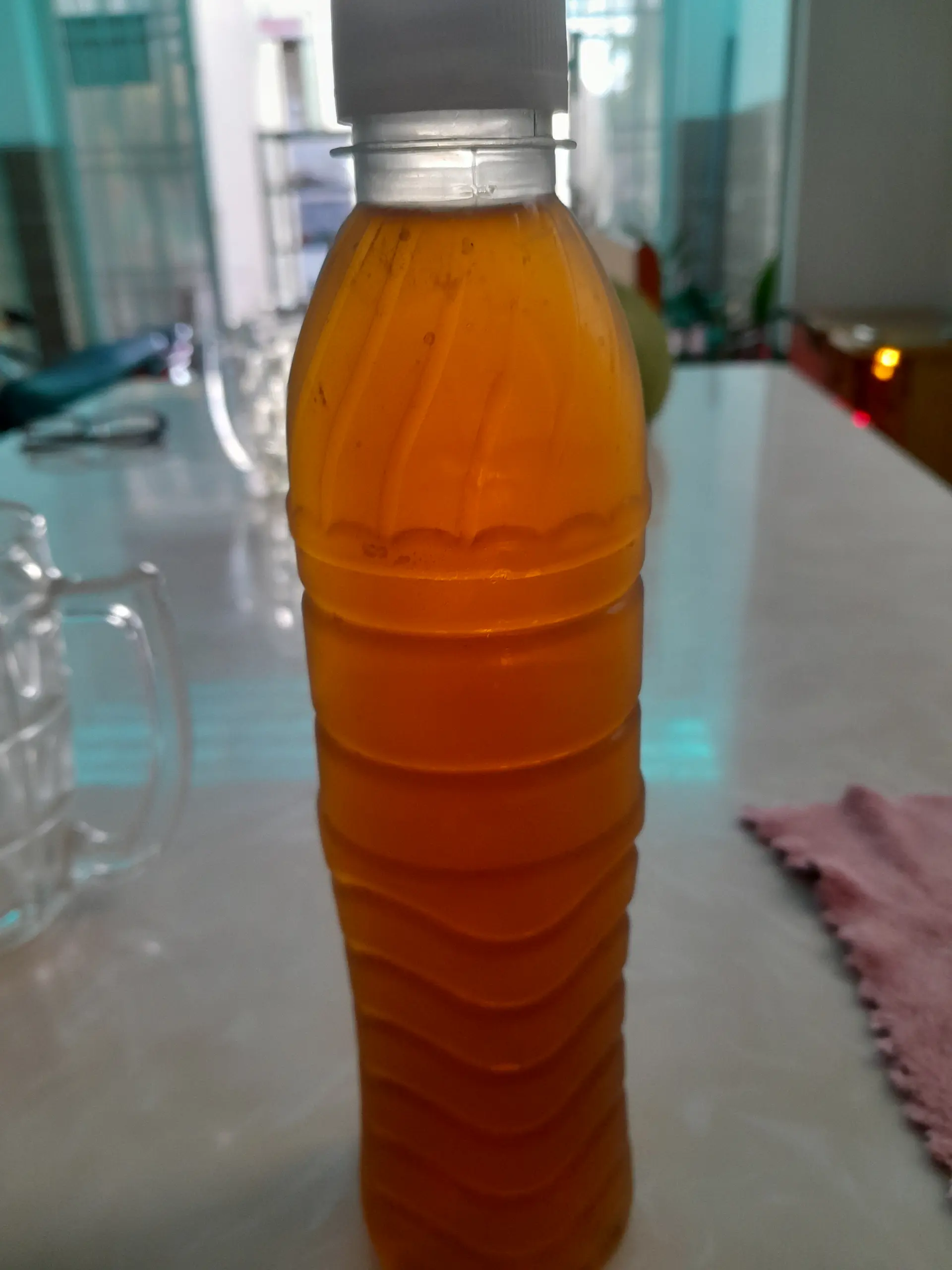 Hình ảnh trà bí đao đường phèn hạt chia