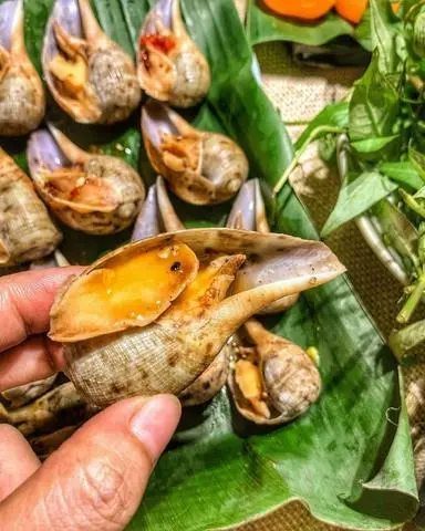 Hình ảnh ốc muỗng nướng mọi 