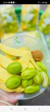 Hình ảnh Combor khay Cóc bao tử xoài  xanh cóc