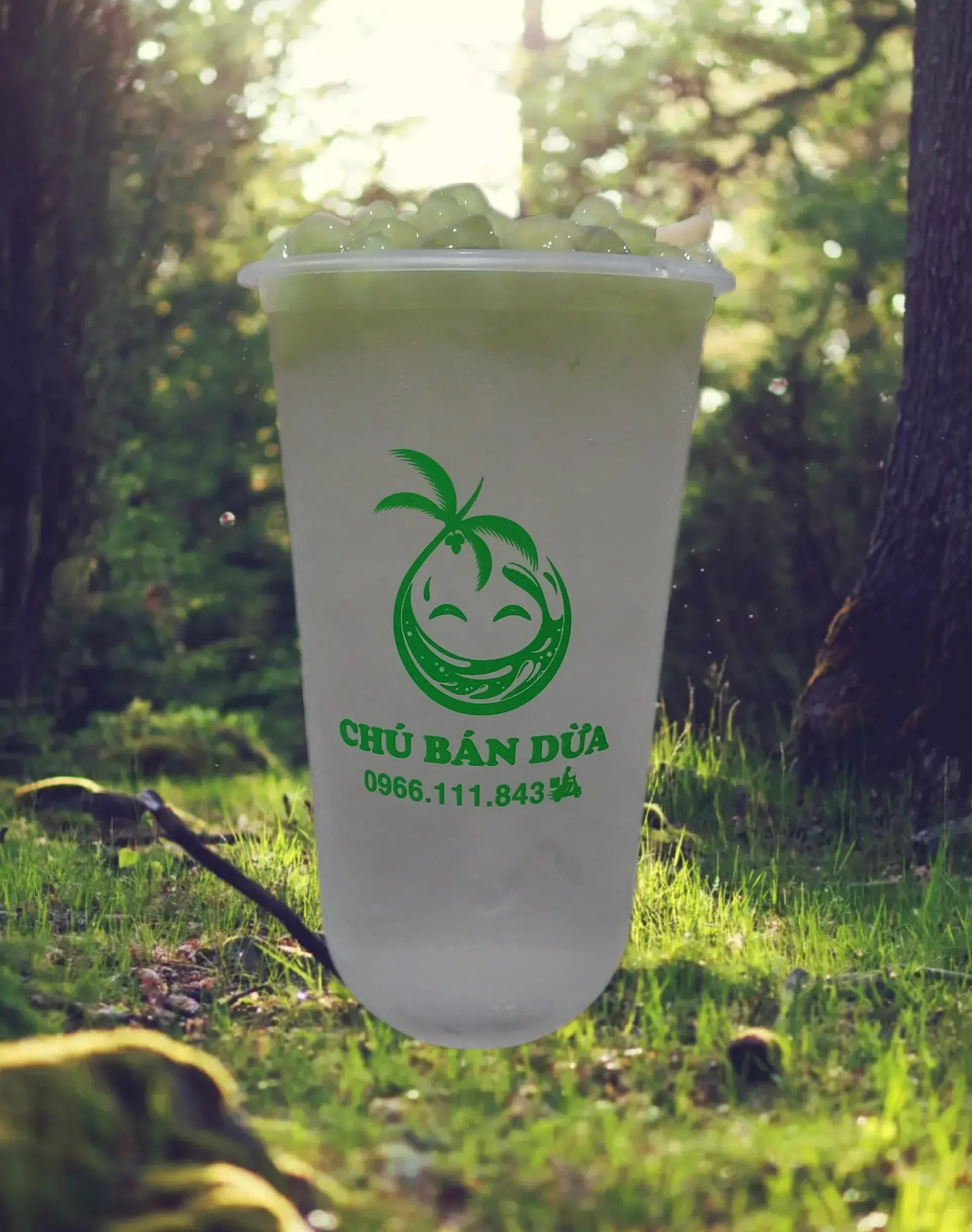 Hình ảnh Nước Dừa Trân Châu Dừa Lá Dứa 