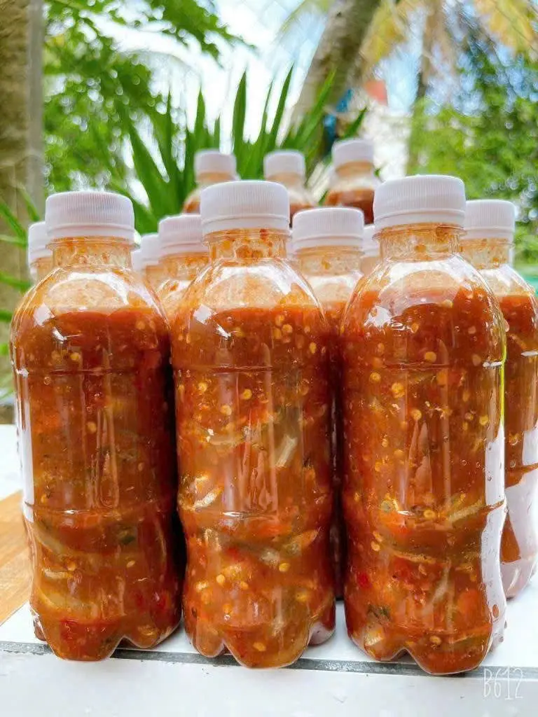 Hình ảnh 1 Chai Mắm Cá Cơm Nguyên Con - Bình Định
