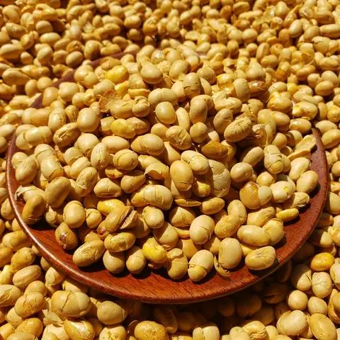 Hình ảnh Đậu nành sấy