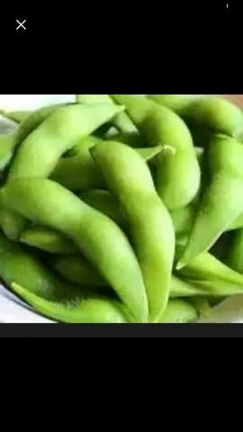 Hình ảnh Đậu nành Nhật 