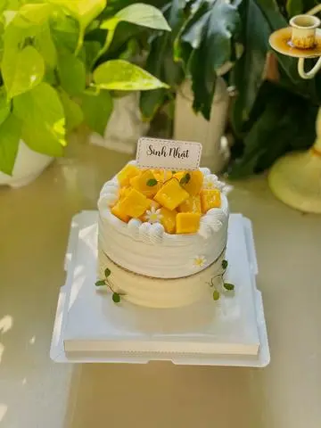 Hình ảnh Bánh bento hộp mica xoài tươi