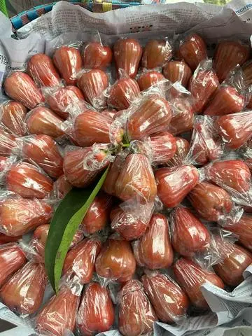 Hình ảnh MẬN AN PHƯỚC 500gr