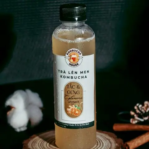 Hình ảnh Kombucha Tắc Gừng - Calamansi Ginger | 500ml