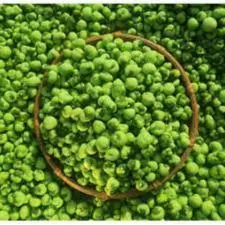 Hình ảnh HÀ LAN WASABI