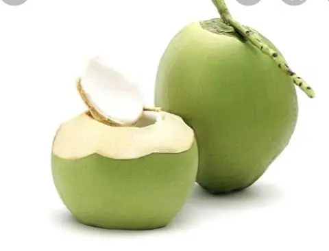 Hình ảnh Dừa  (trái) 