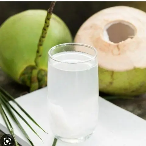 Hình ảnh Dừa  (Ly đường đá,) 