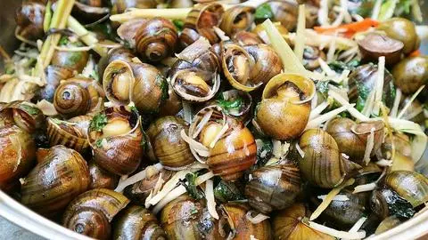 Hình ảnh Ốc Lác  Hấp Xả