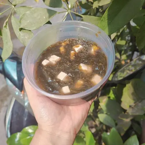 Hình ảnh CANH RONG BIỂN