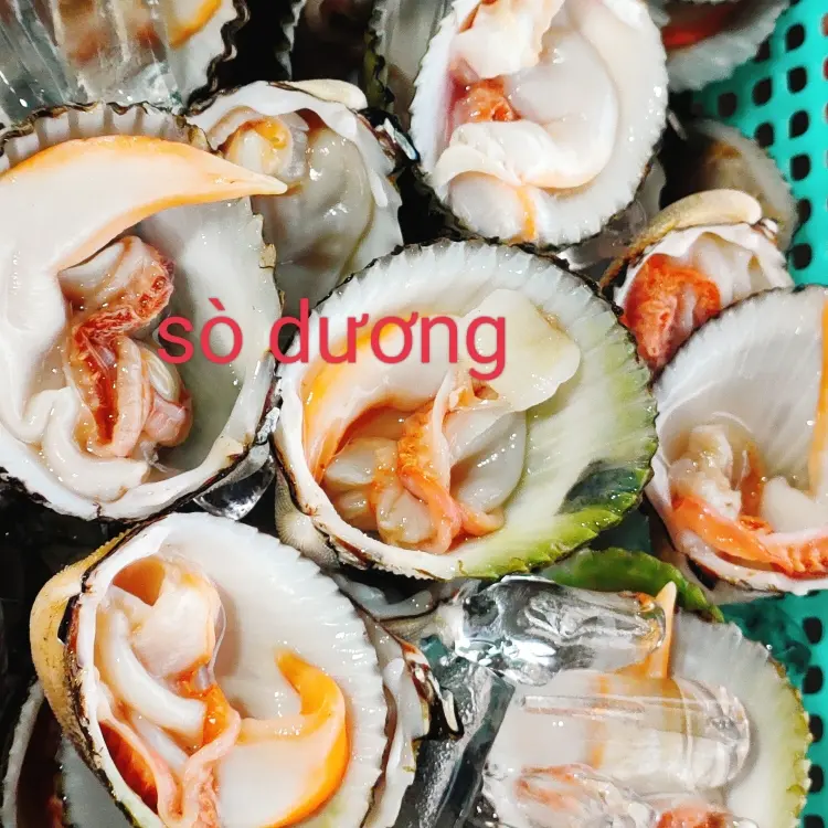 Hình ảnh sò dương nướng mỡ hành 