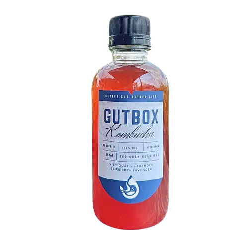 Hình ảnh Kombucha Việt quất