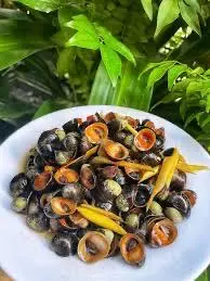 Hình ảnh Ốc dừa hấp sả