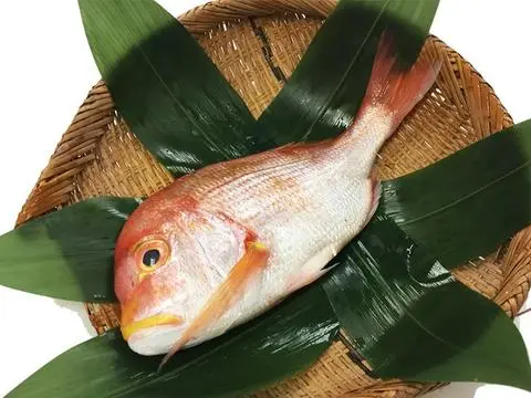 Hình ảnh S28 - Kidai sashimi
