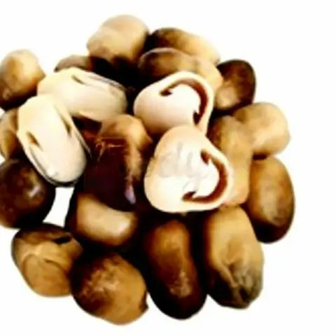 Hình ảnh Nấm thêm