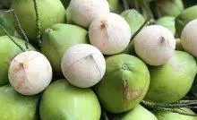 Hình ảnh Dừa tươi 1 trái 