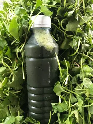 Hình ảnh Rau má chai Ko đường