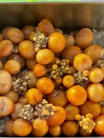 Hình ảnh Trứng thêm