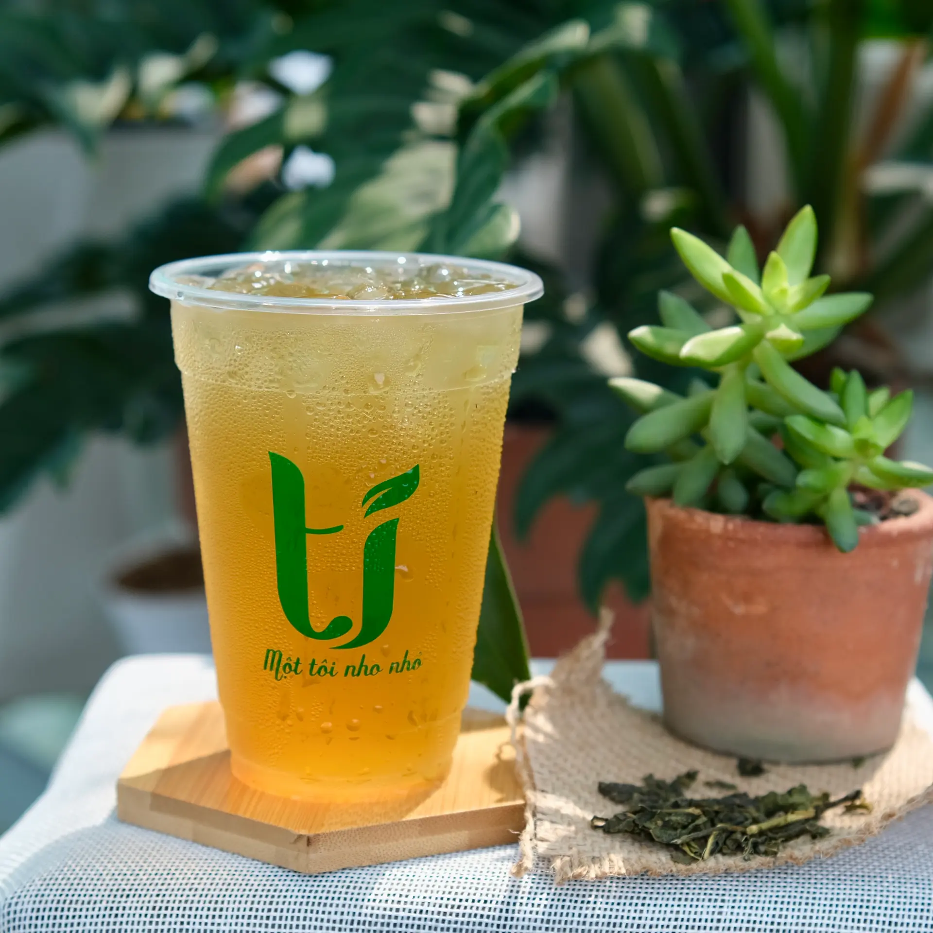 Hình ảnh Lục trà lài - M 500ml