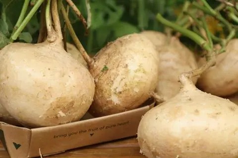 Hình ảnh Củ sắn 1kg