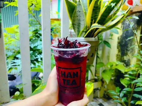Hình ảnh Trà Atiso